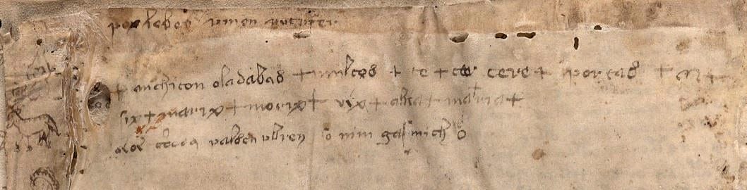 Detail from the Voynich Manuscript, Beinecke Library, Yale University (Public Domain) 