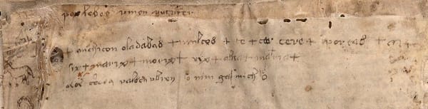 Detail from the Voynich Manuscript, Beinecke Library, Yale University (Public Domain) 